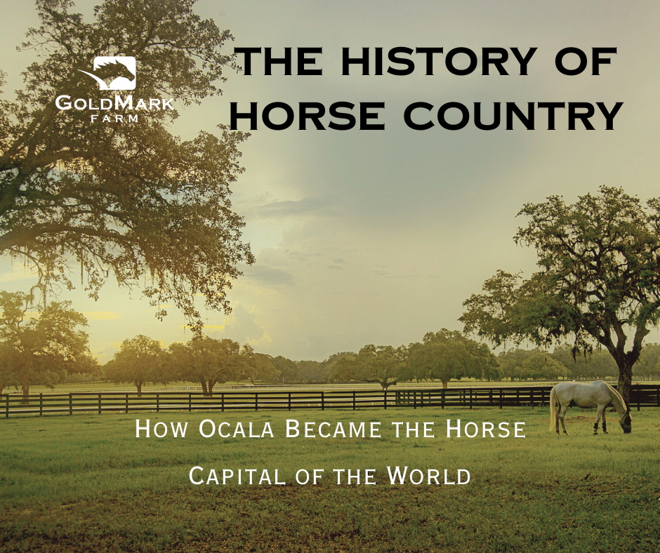 Ocala Florida How Our Area Became Horse Capital of the World